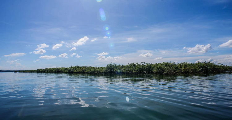 হাওরখাল বিলে অ-মৎস্যজীবীদের নিয়ে কমিটি গঠনের অভিযোগ
