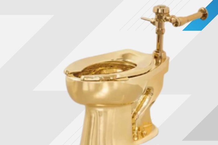 ১০১ কেজি ওজনের টয়লেটটির নাম ‘আমেরিকা’; দাম শুরু ১ কোটি ডলার থেকে