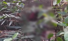 সিলেটে নিখোঁজের ৫ দিন পর জঙ্গল থেকে তরুণীর মরদেহ উদ্ধার